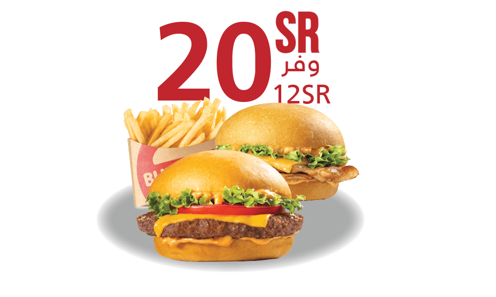 Two Meltizzr With Fries
